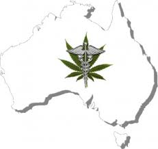 Australian licence legally grow medicinal cannabis