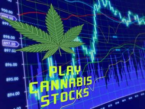 Australian cannabis stock market players