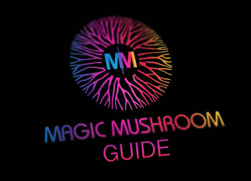A guide to hunting gold top magic mushies