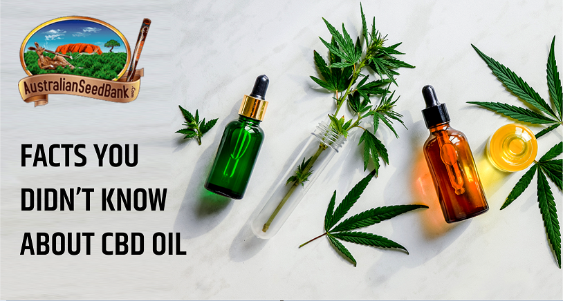 Facts about CBD Oil