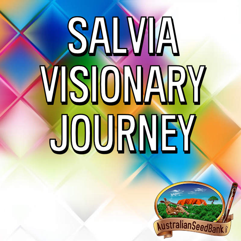 Salvia Visionary Journey