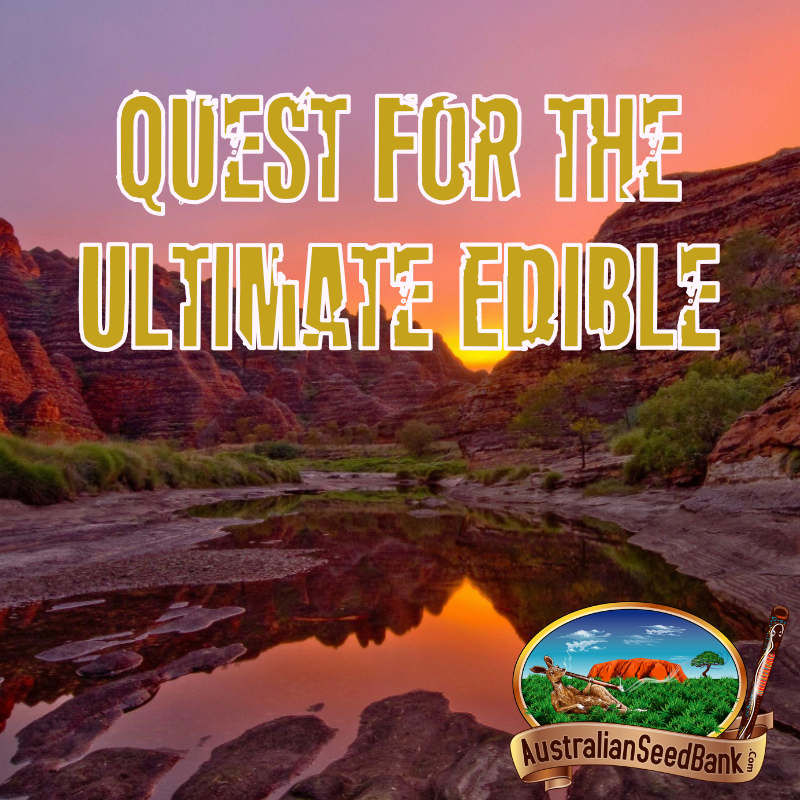 Quest for the Ultimate Edible