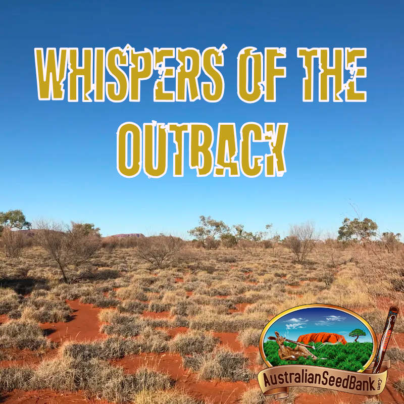 The Whispers of the Outback