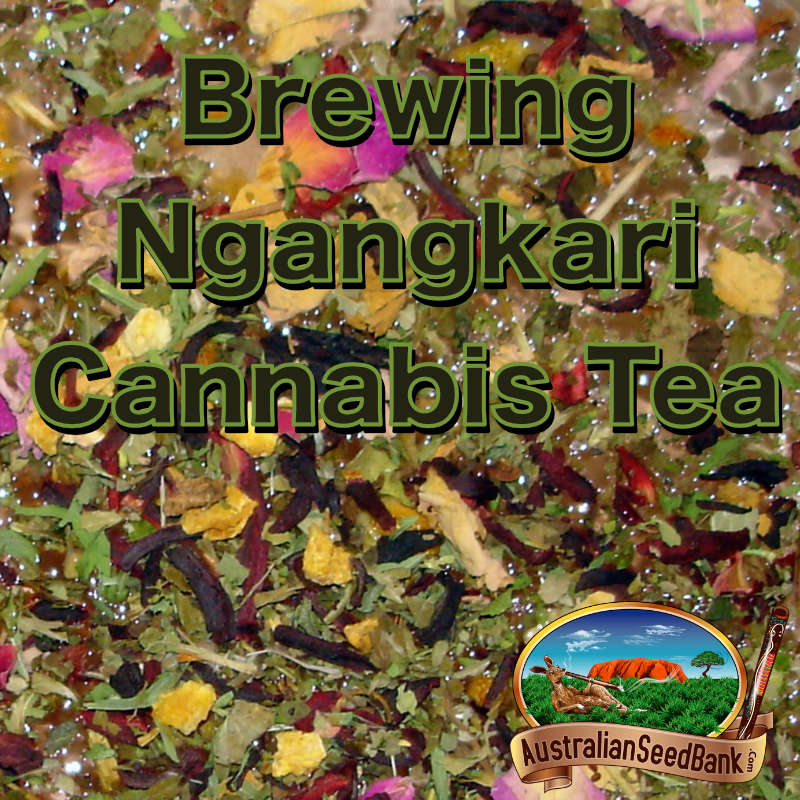 Brewing Ngangkari Cannabis Tea