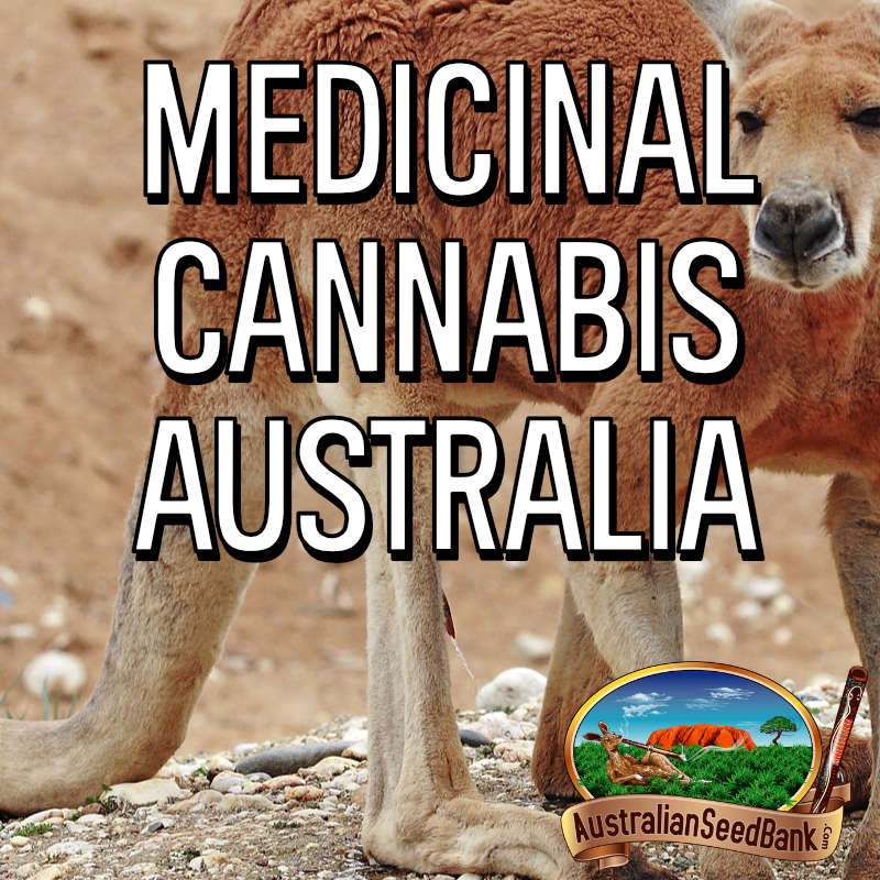 Medicinal Cannabis Australia